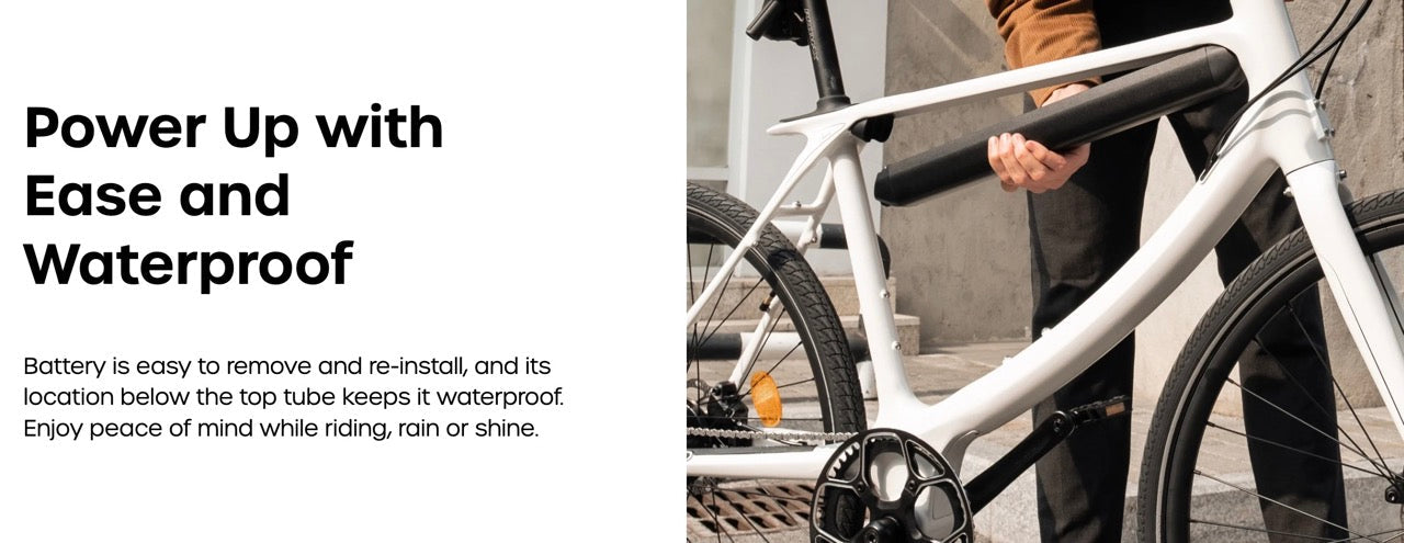 Chord  - Carbon Fiber (Straight top bar, Low step is Chord X) otherwise identical