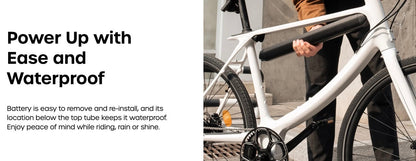 Chord  - Carbon Fiber (Straight top bar, Low step is Chord X) otherwise identical