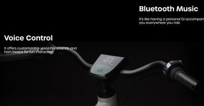Chord X - Carbon Fiber