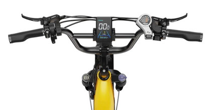 HeyBike Hauler Cargo (Dual Battery)