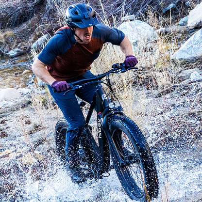 Hiboy P6 Fat Tire Ebike