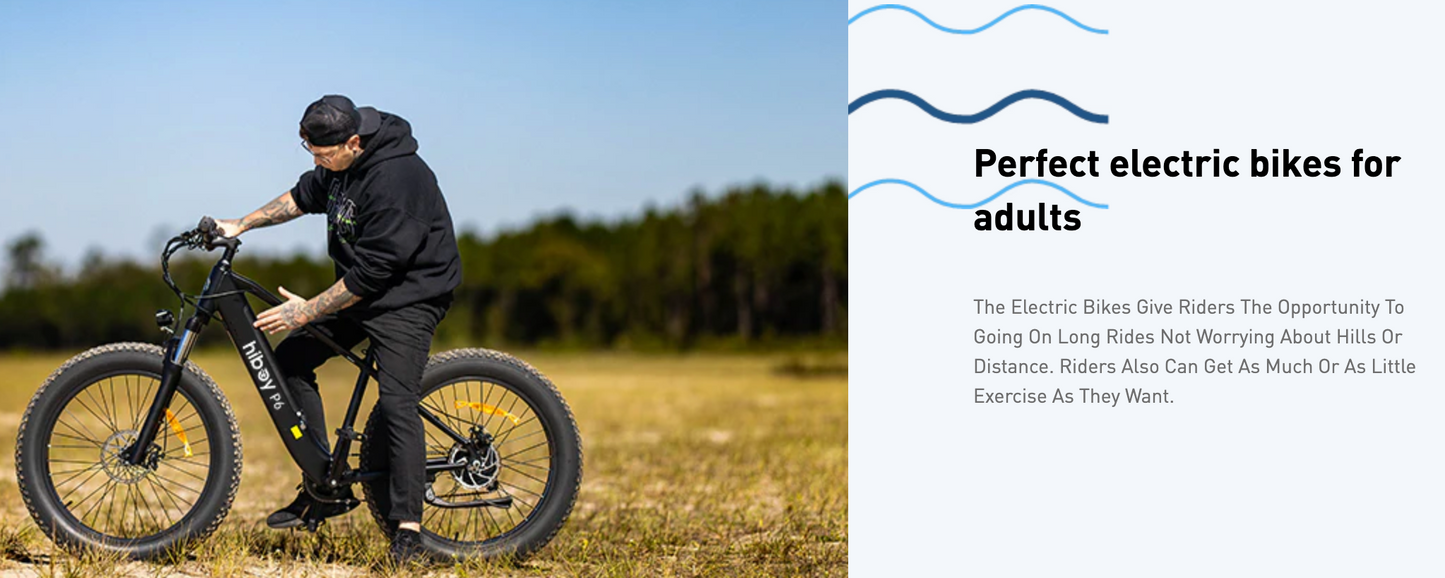 Hiboy P6 Fat Tire Ebike