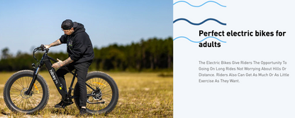 Hiboy P6 Fat Tire Ebike