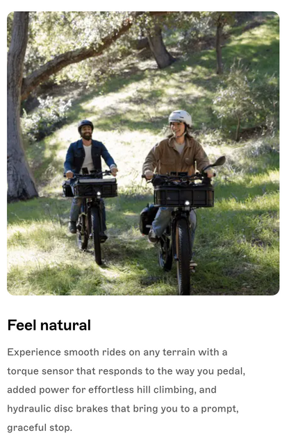 Radster™ Trail Electric Off-Road Bike (Regular: 4'11"-5'8")