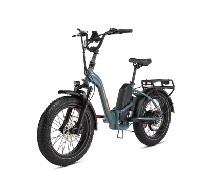 RadExpand 5 Plus Electric Folding Bike