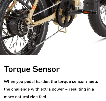RadExpand 5 Plus Electric Folding Bike