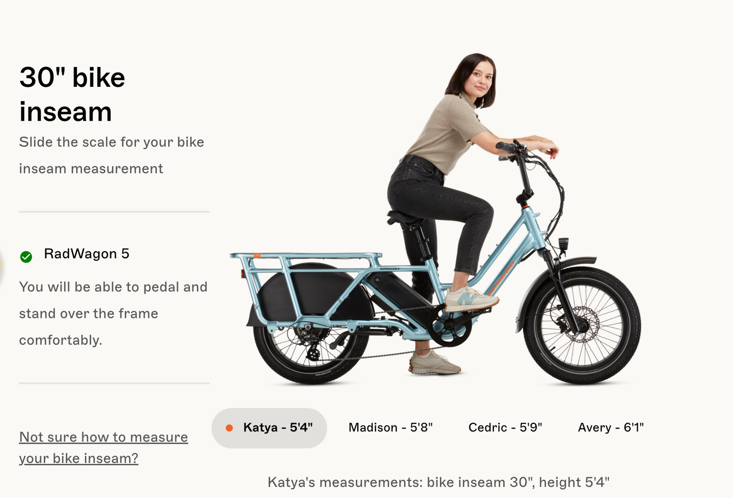 RadWagon™ 5 Electric Cargo Bike