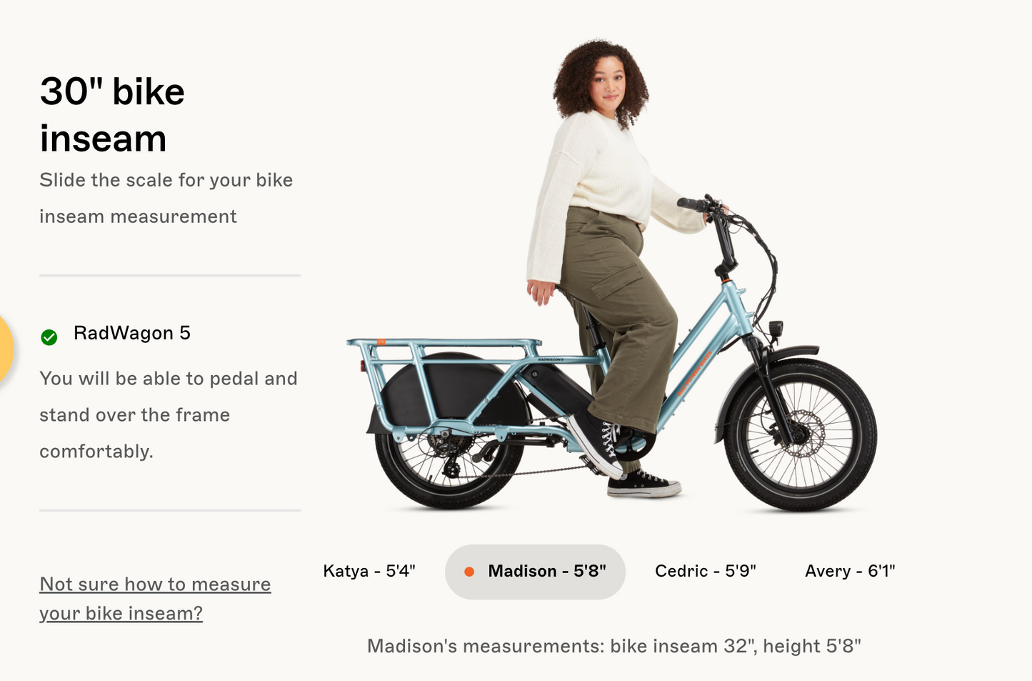 RadWagon™ 5 Electric Cargo Bike