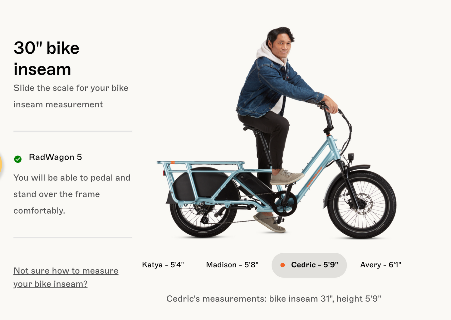 RadWagon™ 5 Electric Cargo Bike