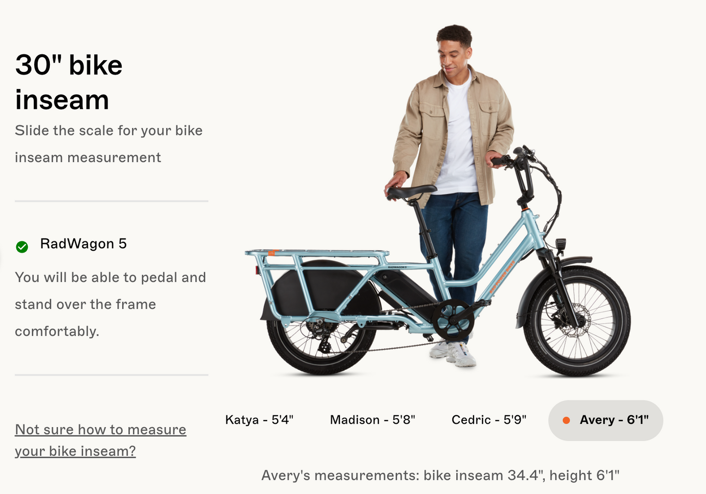 RadWagon™ 5 Electric Cargo Bike