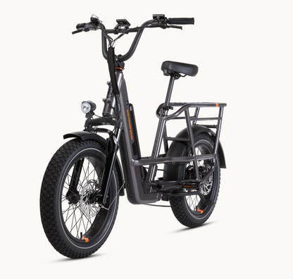 RadRunner 3 Plus Electric Utility Bike