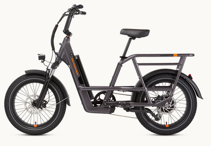 RadRunner 3 Plus Electric Utility Bike
