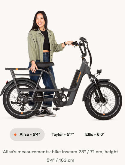 RadRunner 3 Plus Electric Utility Bike