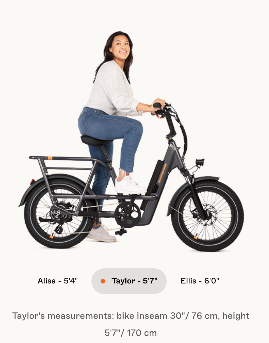RadRunner 3 Plus Electric Utility Bike