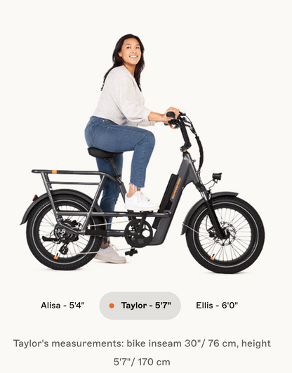 RadRunner 3 Plus Electric Utility Bike
