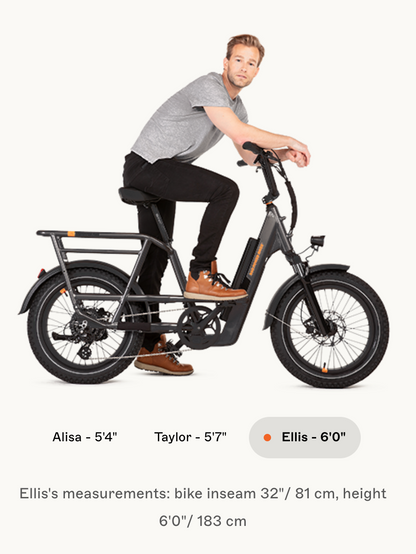 RadRunner 3 Plus Electric Utility Bike