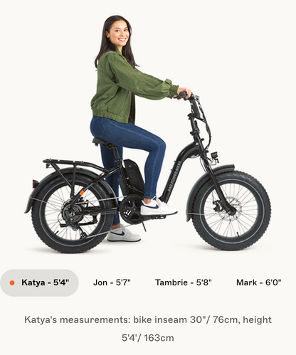 RadExpand 5 Electric Folding Bike