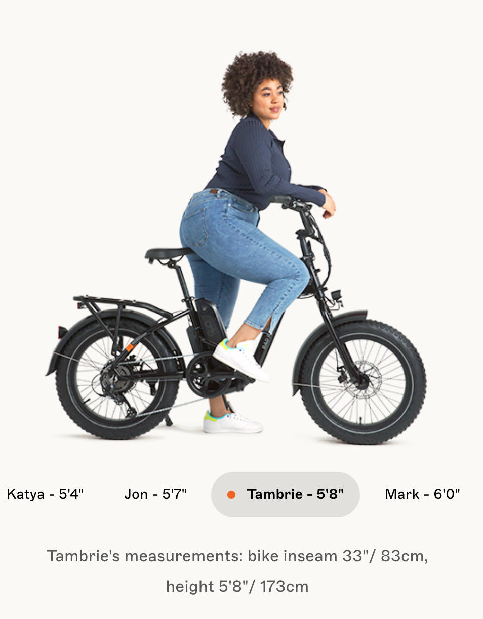 RadExpand 5 Electric Folding Bike