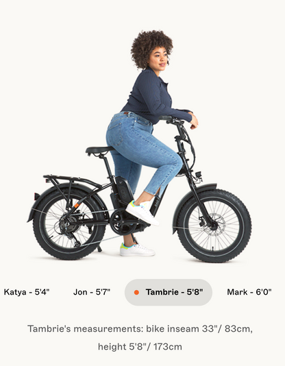 RadExpand 5 Electric Folding Bike