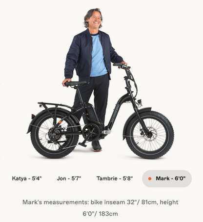 RadExpand 5 Electric Folding Bike